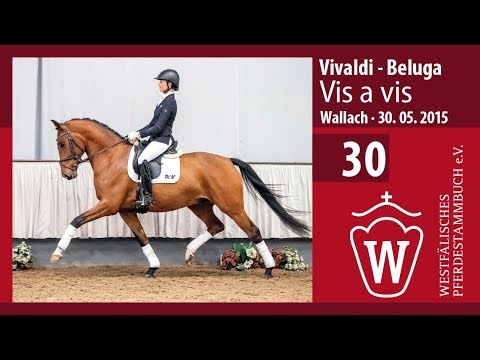 30 Vis a vis Wallach v. Vivaldi - Beluga