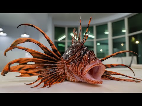 Fillet Lionfish like a Professional