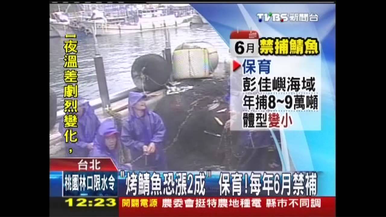 「烤鯖魚恐漲2成」 保育!每年6月禁補