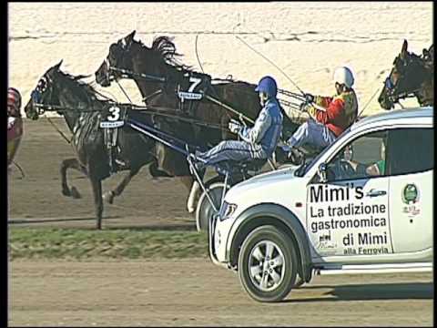 Trotto 28/10/2016 - 4ª corsa