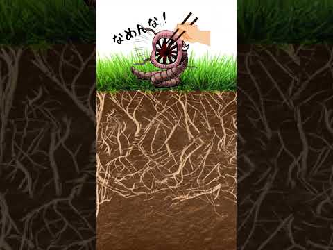 堆肥用のミミズを大量に入手する方法