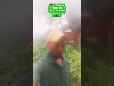 🤠🙏#boraaa cata fejão aqui tem fartura no nosso Piauí td ao vivo#do Piauí pras galáxias🌵🇧🇷🌎