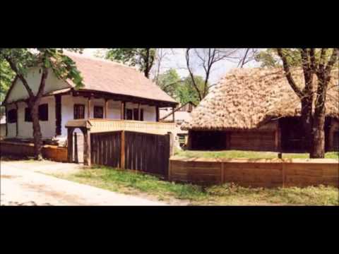 Ana Nicoara   Maica, maiculita mea