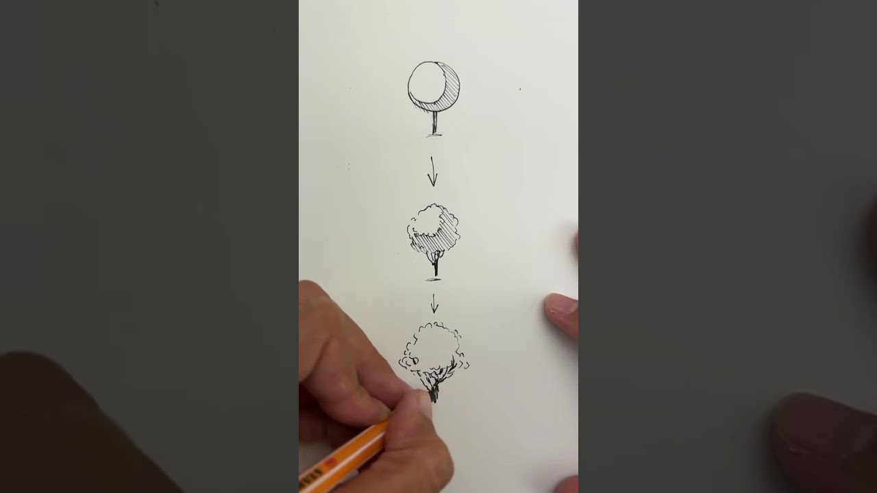 Light & Shadow Basics 🌳 Easy Drawing Tutorial ✏️ #drawingtutorials  #drawingtips #easydrawing