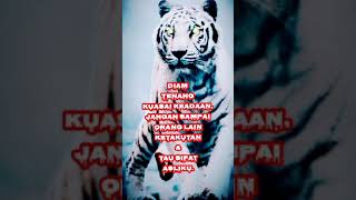 Download lagu sabar #shorts mp3