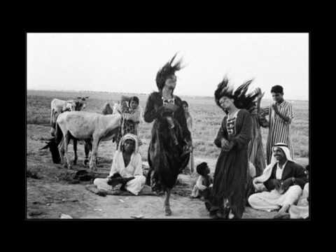 Copia de Sajeda Obied Shgad Kawleeya