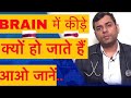 दिमागी कीड़ा कैसे बनता है सिर में कीड़