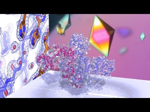 Plongée au cœur des molécules du vivant