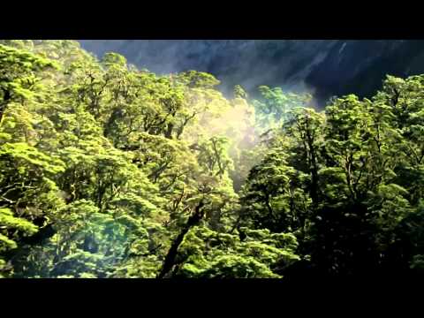 Ronny K. presents EOYC - Morning Light (EOYC Anthem Intro Mix) [HD] --==[J.E.W. & D.]==--