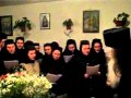 Maicile De La Petru Voda SFANTA TINERETE LEGIONARA GARDULDEFIER RO