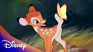 Bambi 80th Anniversary Compilation