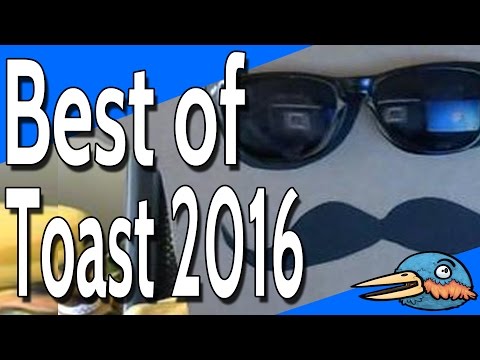 Best of Disguisedtoast - One Year of Toasting