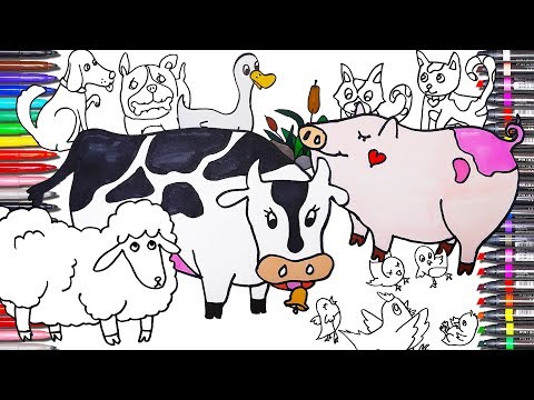 Animals Coloring Pages Learn colors Animals Names and...