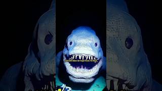 Download lagu 'The Most Extreme Fish in the World! It Lives in the Mariana Trench!' #facts #marianatrough #mari... mp3