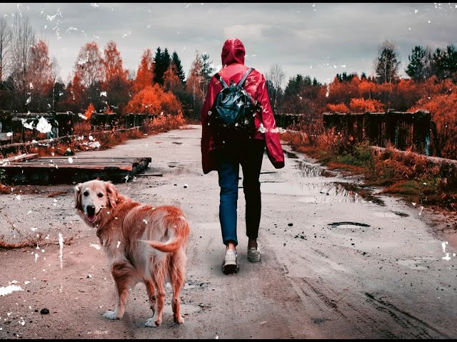 Vídeo relacionado con Ostatnia na imprezie