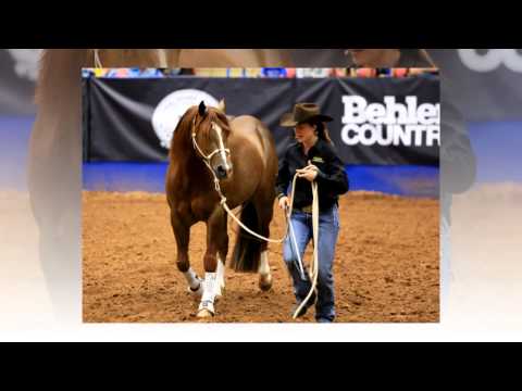 Walkabout Tour ~ Austin TX