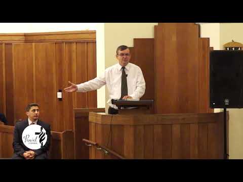 Teodor Dronca - Pilonii mântuirii