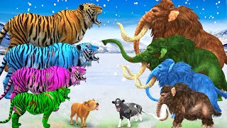 10 Zombie Tigers vs Cow Cartoon Rescue Saved By Woolly Mammoth Elephant Giant Animal Fights Videos