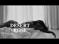 Faouzia - Desert Rose - Lyrics