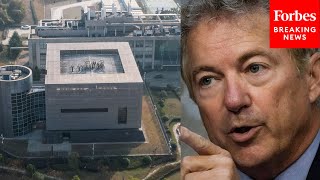 Rand Paul Brings Up COVID-19 Wuhan Lab Theory To Highlight Importance Of Inspectors General