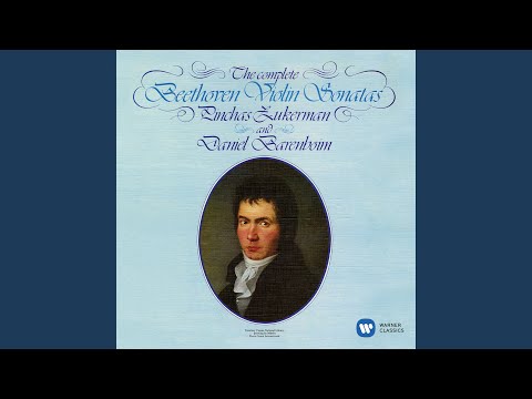 Violin Sonata No. 1 in D Major, Op. 12 No. 1: I. Allegro con brio