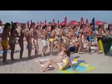 Dansul pinguinului  (Pinguin Dance)