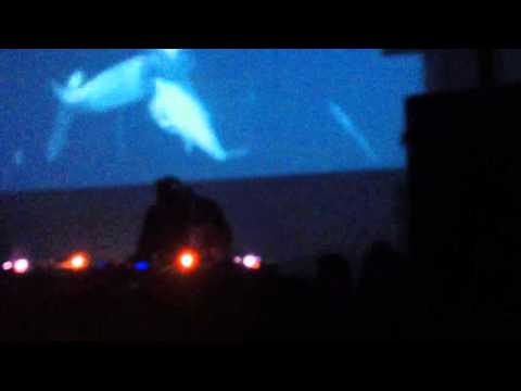 DJ Stingray sumerge a Medellín por una travesía subacuática