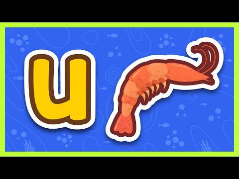 Belajar Huruf Abjad: Belajar Menulis Huruf U (Belajar Huruf Alfabet) – Yufid Kids