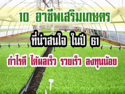 กระตุ้นยาเสพติด สมาชิก 17 เพิ่มขึ้น