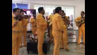 Enamorado de ti- Mariachi Emperadores