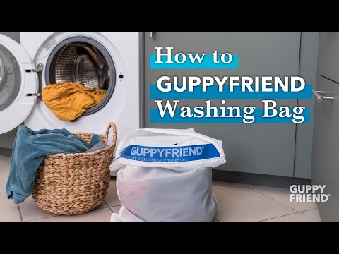 GUPPYFRIEND (EN)