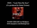 DMX - Look Thru My Eyes