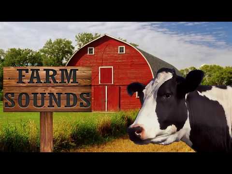 Farm Sounds Video