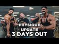 LAST WORKOUT - CHEST & TRICEPS | MENTAL UPDATES