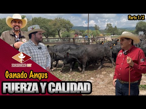 EL REGALO DEL ZACATECANO que no alcanzó a ver