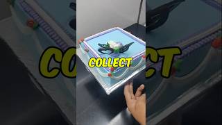 Download lagu I don’t understand which 3 things I should collect 😭😂 #relatablestories #comedy #funnymemes mp3
