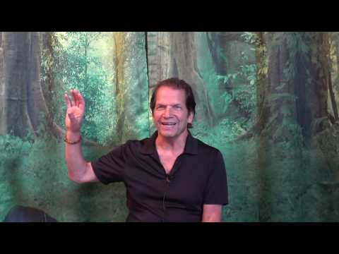 Mindfulness as taught from the Buddhist tradition