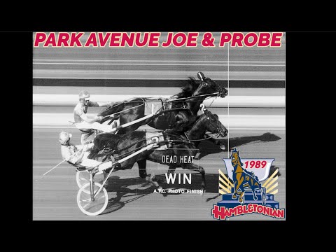 My Reaction To 1989 Hambletonian Park Avenue Joe/Probe DH