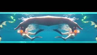 Sweetness Alive (Goldroom) - a GoPro3+ TULAMBEN SHIPWRECK documentary