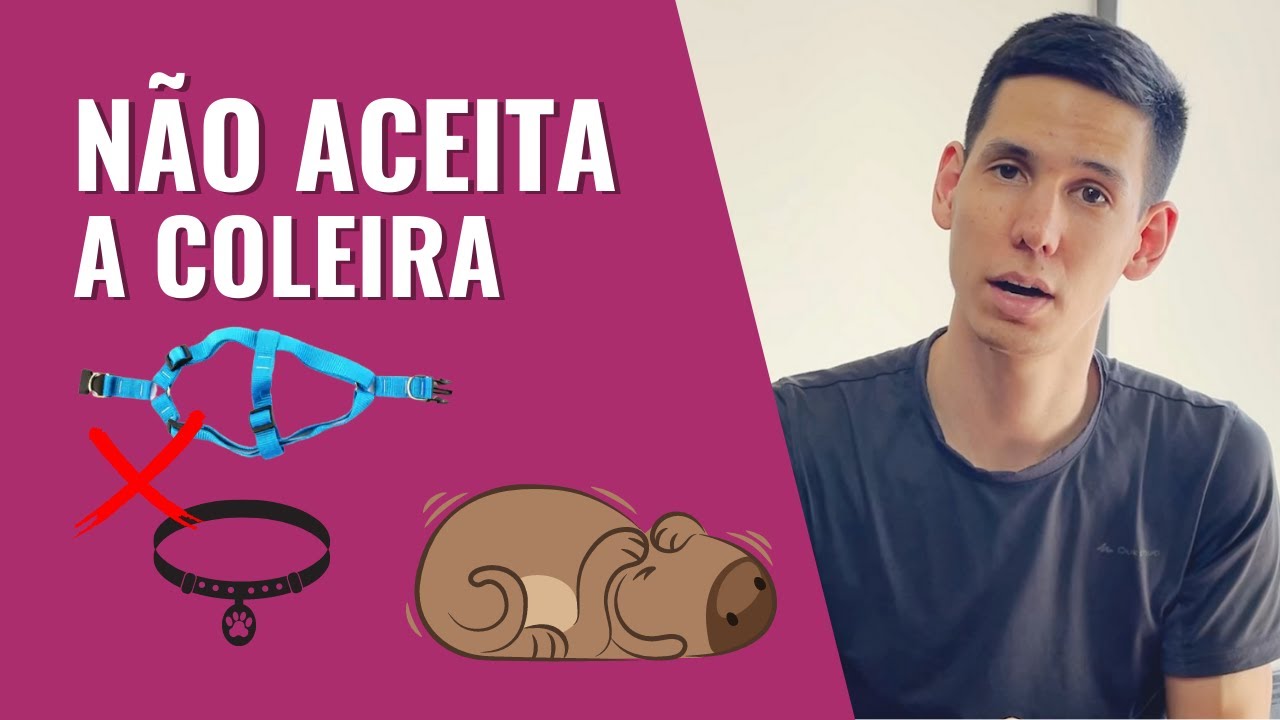 MEU CACHORRO NÃO ACEITA COLEIRA (VÍDEO PRÁTICO)