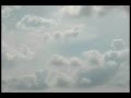 Grizzly Bear Slow Life 2009 Ft Victoria Legrand