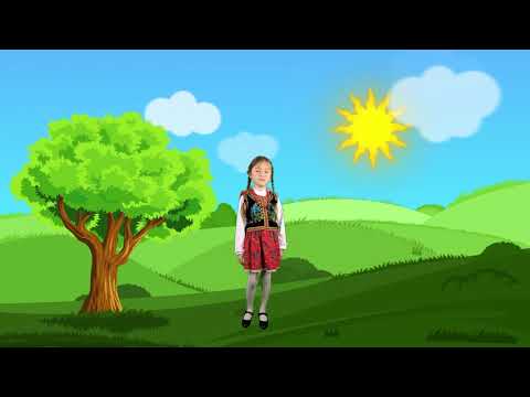 Przyleciał ptaszek z Łobzowa - piosenka ludowa dla dzieci - Lena Sobczyk - Podkład - Jangok