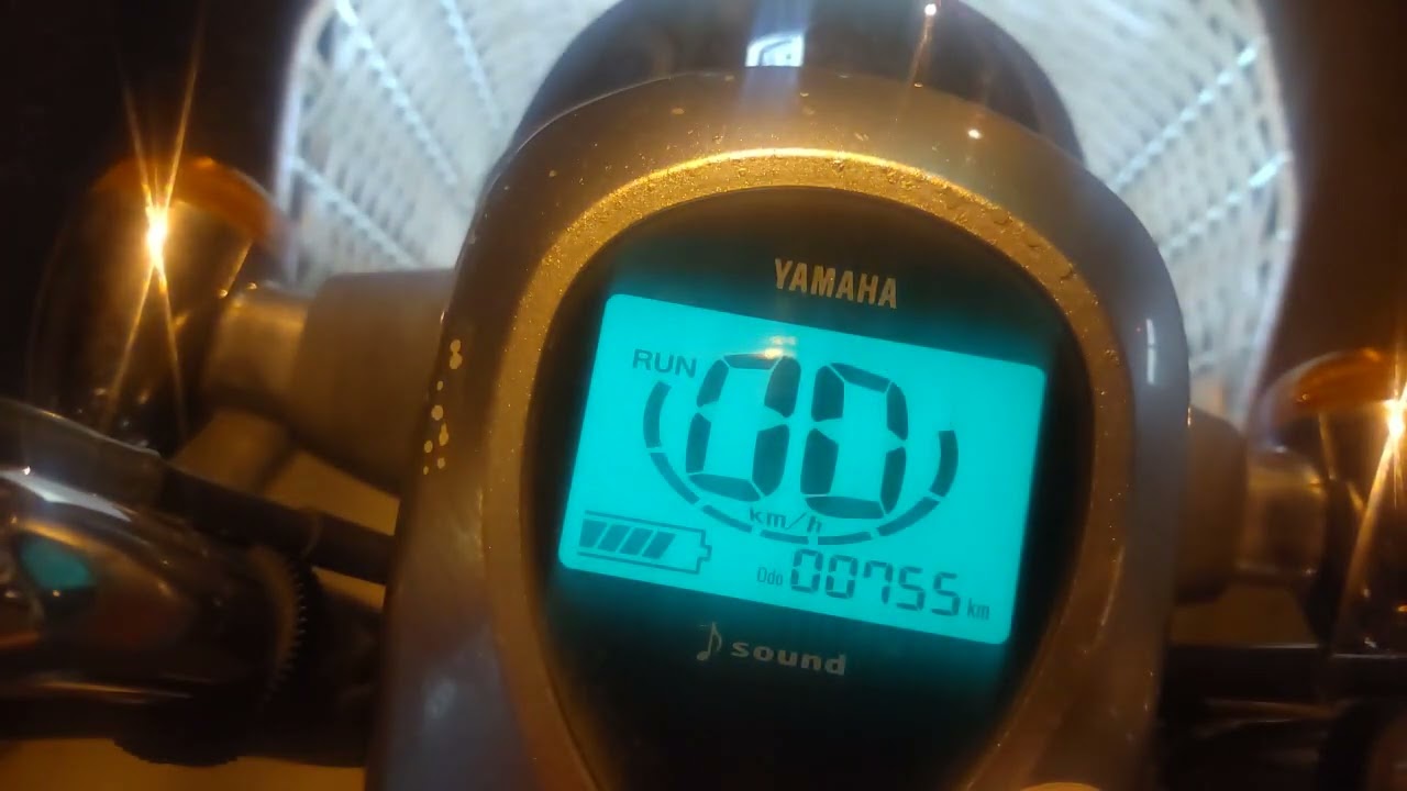 電動バイク　電動パッソルの最高速度は？ SY01J