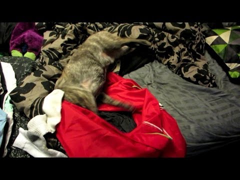 635 - Vlog 6/6/2014 - Laundry Help