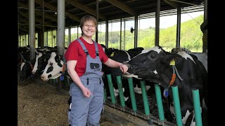 Kuhkomfort für Milchkühe: Yvette führt durch den Stall