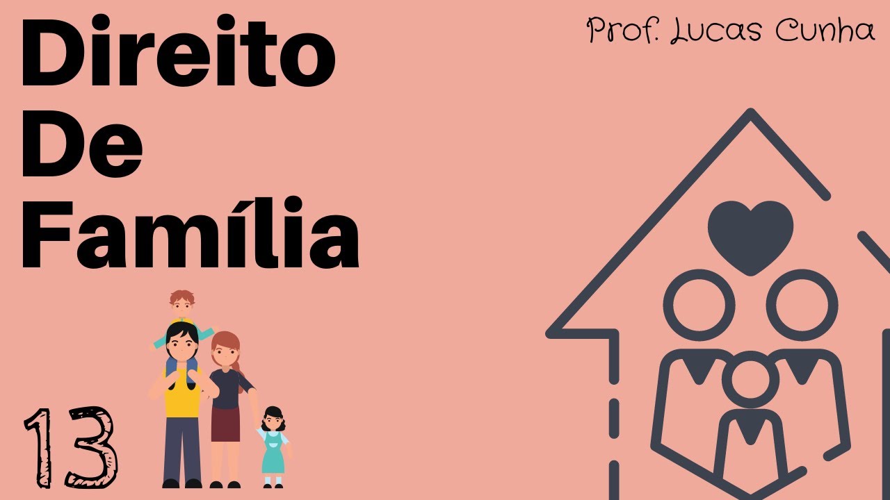 Aula 13 -  Do Poder de Família