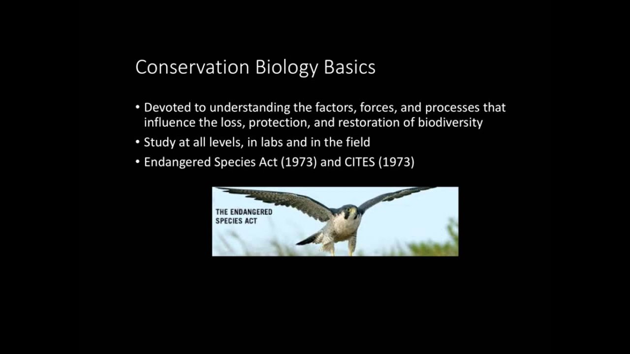 AP Environmental Science Chapter 11