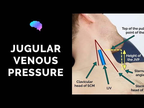 Measuring Jugular Venous Pressure (JVP) - OSCE Guide (Clip) | UKMLA | CPSA | PLAB 2