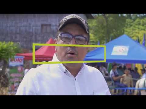 DESPACHOS DEL MONTE AG