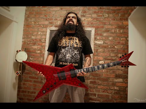 Washburn Dime Stealth USA Custom Shop 1 of 1 image 18